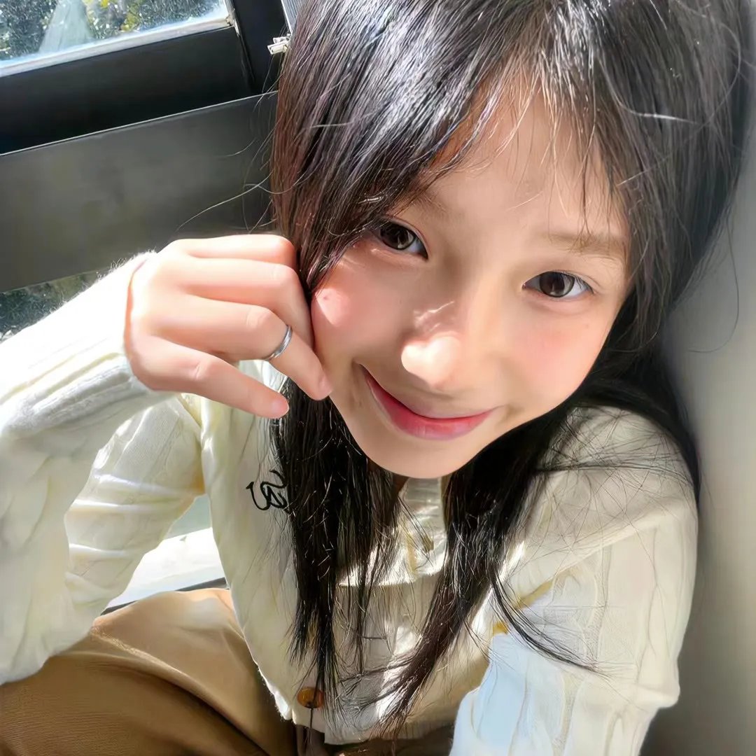 狐狸女士第二季