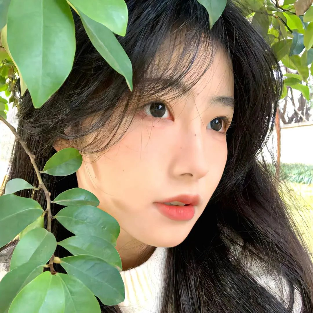 青蛙王子